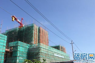 裕福國際城實景風采綻放，泉城人居再添華章